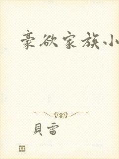 豪欲家族小说