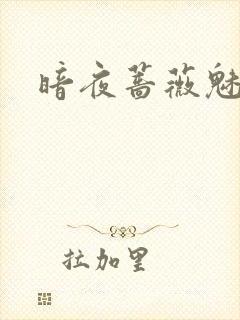 暗夜蔷薇魅封面