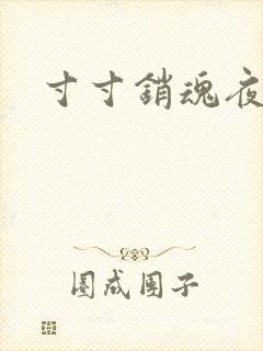 寸寸销魂夜春光