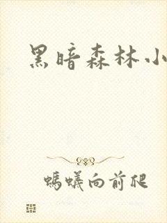 黑暗森林小说