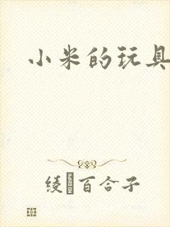 小米的玩具日记
