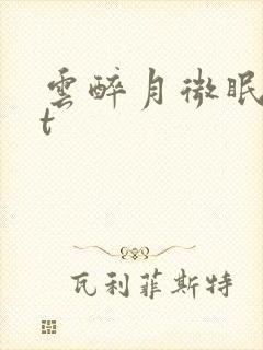 云醉月微眠txt封面