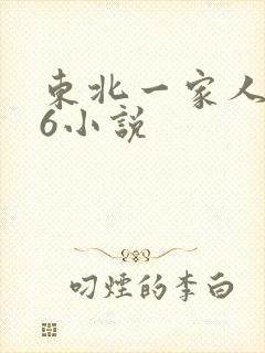 东北一家人1一6小说