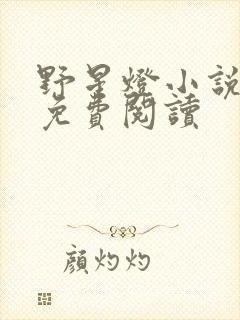 野星灯小说全文免费阅读封面