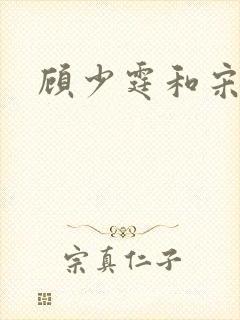 顾少霆和宋斯曼封面
