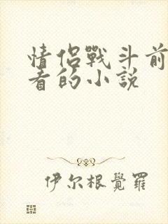 情侣战斗前适合看的小说