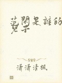 范闲是谁的亲生儿子封面