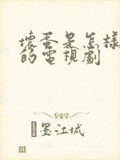坏蛋是怎样炼成的电视剧