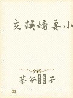 交换娇妻小说