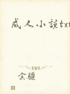 成人小说txt