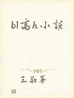 bl高h小说
