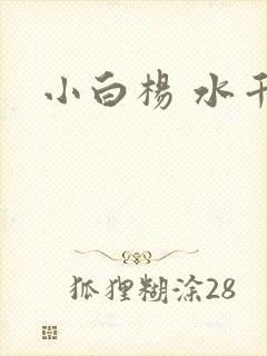 小白杨 水千丞