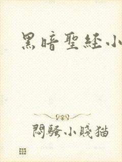黑暗圣经小说