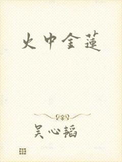 火中金莲封面