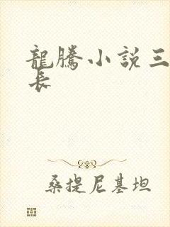 龙腾小说三宝局长