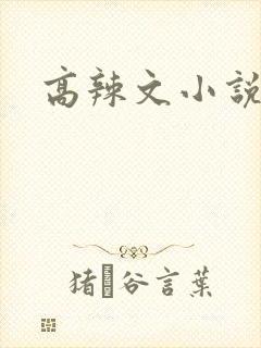 高辣文小说封面
