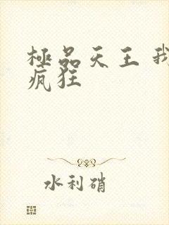 极品天王 我本疯狂