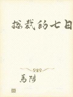 总裁的七日恋人封面