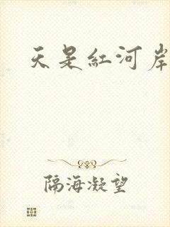 天是红河岸小说封面