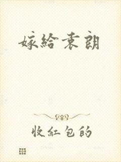 嫁给袁朗
