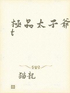 极品太子爷txt封面