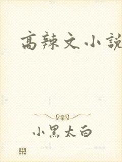 高辣文小说