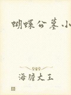 蝴蝶公墓小说