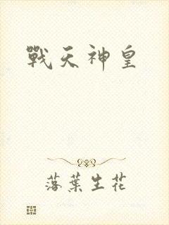 战天神皇封面