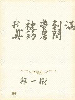 我被带到满是玩具的房间