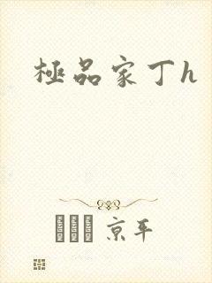 极品家丁h