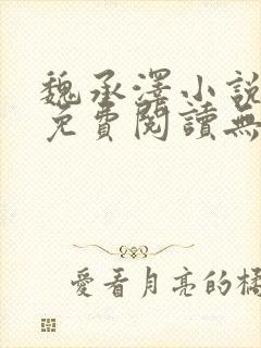 魏承泽小说全文免费阅读无弹窗笔趣