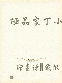 极品家丁小说