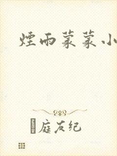 烟雨蒙蒙小说