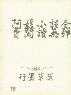 阿媛小说全文免费阅读无弹窗笔趣阁
