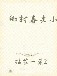 乡村春光小说