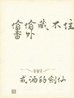 偷偷藏不住新婚番外封面