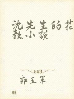 沈先生的花式管教小说