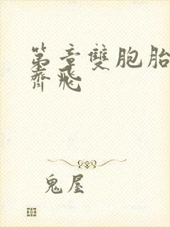 第章双胞胎姐妹齐飞
