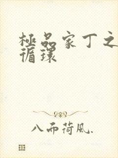 极品家丁之因果循环封面