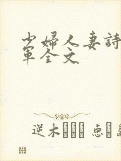 少妇人妻诗雨小军全文封面