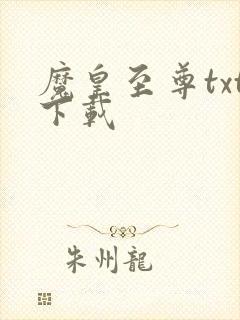 魔皇至尊txt下载封面