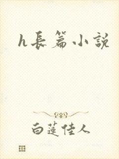 h长篇小说封面