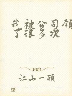 我被公司领导C了很多次