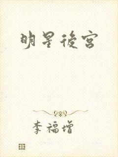 明星后宫