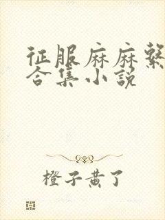 征服麻麻系列大合集小说