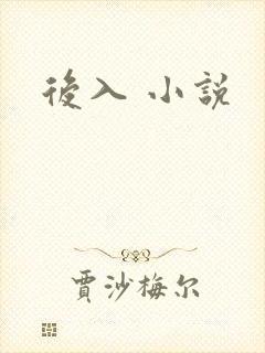 后入 小说