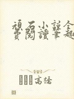 顽石小说全文免费阅读笔趣阁