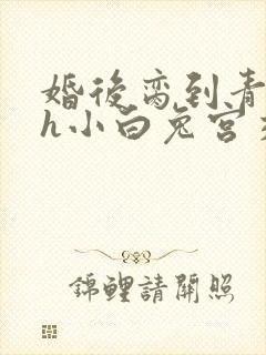 婚后脔到青梅哭h小白兔宫交h