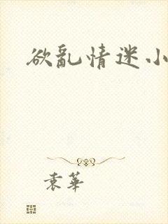 欲乱情迷小说封面