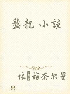 盘龙 小说
